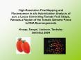 HighResolution Fine Mapping and Fluorescence in situ Hybridization Analysis of sun, a Locus Controll