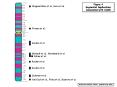 XLMR Slides powerpoint