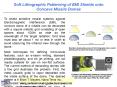 Soft Lithographic Patterning of EMI Shields onto Concave Missile Domes