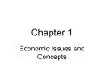 Economic Issues and Concepts