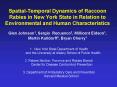 SpatialTemporal Dynamics of Raccoon Rabies in New York State in Relation to Environmental and Human