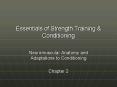 Essentials of Strength Training