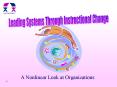 A Nonlinear Look at Organizations