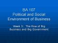 BA 107 Political and Social Environment of Business