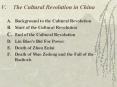 V'The Cultural Revolution in China