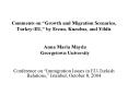 Comments on Growth and Migration Scenarios, TurkeyEU, by Erzan, Kuzubas, and Yildiz