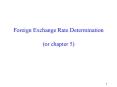 Exchange Rate Determination