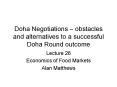 Doha Negotiations obstacles and alternatives to a successful Doha Round outcome