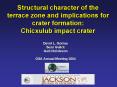 Structural character of the terrace zone and implications for crater formation: Chicxulub impact cra