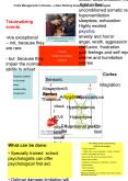 Crisis Management in Schools a New Working Area for School Psychologists