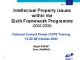 Intellectual Property issues within the Sixth Framework Programme 20022006
