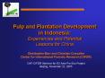 Pulp and Plantation Development in Indonesia: Experiences and Potential Lessons for China