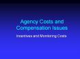 Agency Costs and Compensation Issues