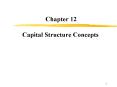 Capital Structure Concepts