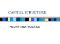 CAPITAL STRUCTURE