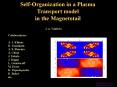 SelfOrganization in a Plasma