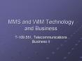 MMS and WIM Technology and Business