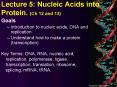 Lecture 5: Nucleic Acids into Protein' Ch 12 and 13