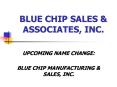 BLUE CHIP SALES