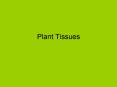 Plant Tissues