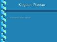 Kingdom Plantae