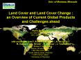 4th Global Vegetation Workshop Defourny et al'