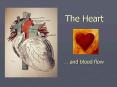The Heart