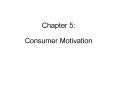 Chapter 5: Consumer Motivation