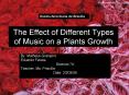 The Effect of Different Types of Music on a Plants Growth