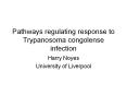 Pathways regulating response to Trypanosoma congolense infection