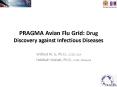 PRAGMA Avian Flu Grid: Drug Discovery against Infectious Diseases