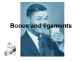 Bones and ligaments