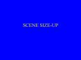 SCENE SIZEUP