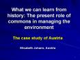 What we can learn from history: The present role of commons in managing the environment