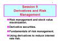 Risk management and stock value maximization'