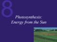 Photosynthesis: Energy from the Sun