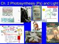 Ch' 2 Photosynthesis Ps and Light