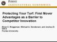 Protecting Your Turf: First Mover Advantages as a Barrier to Competitor Innovation