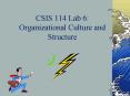 CSIS 114 Lab 6: Organizational Culture and Structure