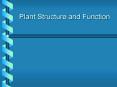 Plant Structure and Function