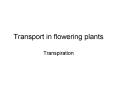 Transport in flowering plants