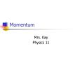 Momentum