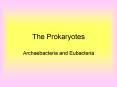 The Prokaryotes
