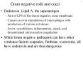 Gram negative rods and cocci