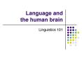 Language and the human brain