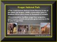 Our Private Lodges