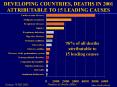 DEVELOPING COUNTRIES, DEATHS IN 2001 ATTRIBUTABLE TO 15 LEADING CAUSES
