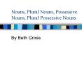 Nouns, Plural Nouns, Possessive Nouns, Plural Possessive Nouns