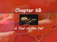 Chapter 6B