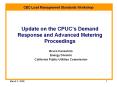 Update on the CPUCs Demand Response and Advanced Metering Proceedings